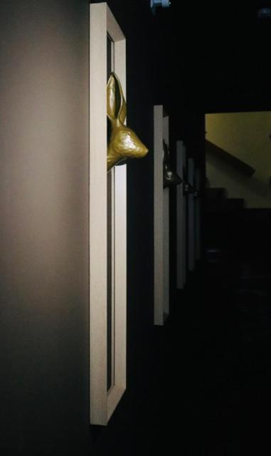 Casa Coelho Appartement